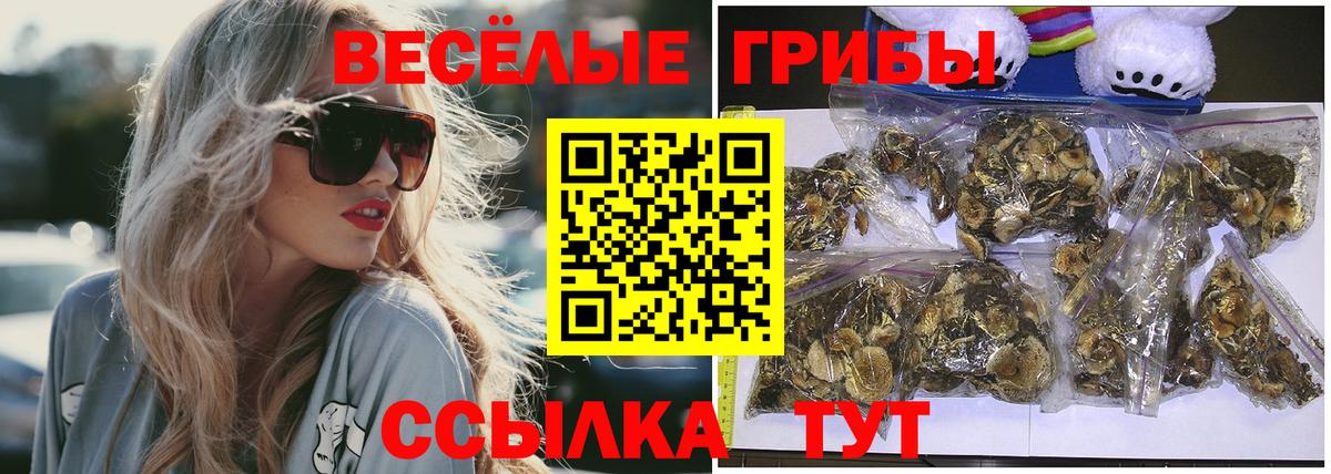 Галлюциногенные грибы Magic Shrooms  Вход с VPN  Азнакаево 